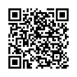 QR Code (код быстрого отклика)