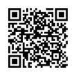 QR Code (код быстрого отклика)