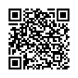 QR Code (код быстрого отклика)