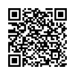 QR Code (код быстрого отклика)