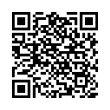 QR Code (код быстрого отклика)