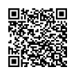 QR Code (код быстрого отклика)